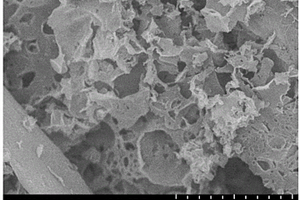 碳硒复合材料及其制备方法和在锂硒电池中的应用