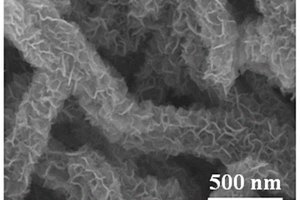 氮磷掺杂碳纳米管@Mo/MoS<Sub>2</Sub>/MoP复合材料及其制备方法
