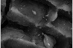 生物炭-铁卟啉复合材料及其制备方法和应用