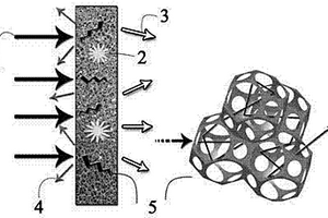 泡沫金属-碳纳米管复合材料及其制备方法