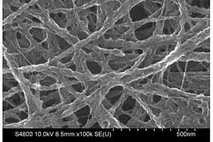碳纳米管/聚苯胺复合材料及其制备方法