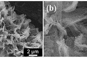 碳布表面修饰金属有机框架衍生的钴酸镍纳米片阵列复合材料及其制备和应用