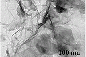 镶嵌状聚苯胺/H2Ti12O25纳米片复合材料及其制备方法