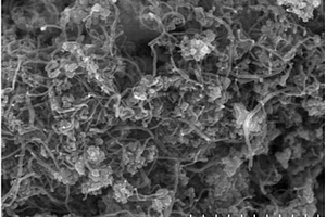 制备碳纳米管/SiC/纳米Si复合材料的方法、该复合材料及锂离子电池