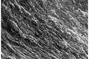 纤维素纳米晶基复合材料及其制备方法和应用