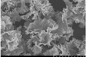 二硫化锡纳米片复合材料及其制备方法和应用