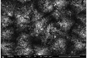 多孔金刚石膜/三维碳纳米线网络复合材料的制备方法及其产品