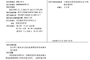 包含异丁烯和多官能化低聚物的弹性体纳米复合材料