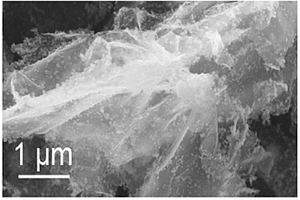纳米晶状CoO-石墨烯复合材料及其制备与应用