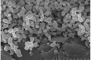 晶体二氧化硅/碳多孔复合材料及其制备方法