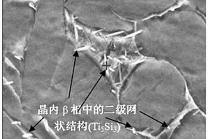 两级网状结构钛基复合材料及其制备方法