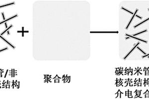 碳纳米管/非晶碳核壳结构-聚合物介电复合材料