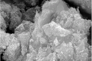 原位制备四氧化三铁/炭/纳米石墨微片纳米复合材料的方法