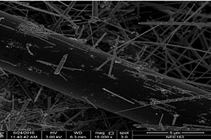 原位生长碳化硅纳米线增强多孔碳复合材料的制备方法
