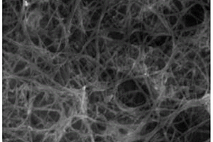 单壁碳纳米管-硅碳复合材料及其制备方法和应用