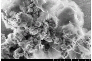 磁性氢氧化镁复合材料及其制备方法