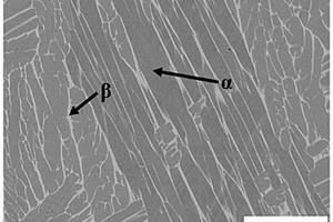 高塑性原位网状TiC增强钛基复合材料及其制备方法