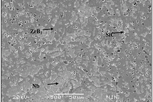 Nb-Ti-ZrB2-SiC复合材料及其制备方法