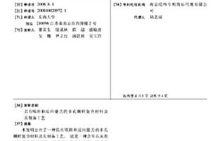 具有吸附和反应能力的多孔颗粒复合材料及其制备工艺