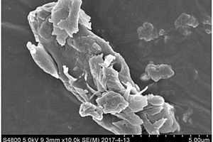 石墨烯量子点接枝偶氮衍生物复合材料及制备方法与应用