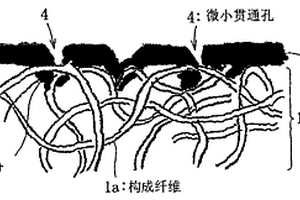 纤维复合材料和用于制备该纤维复合材料的方法