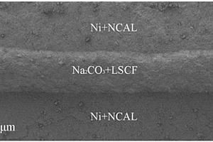 LSCF/Na<sub>2</sub>CO<sub>3</sub>纳米复合材料为燃料电池离子传输层的制备方法