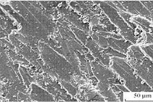 离子液体型层状硅酸盐/环氧树脂纳米复合材料及其制备方法