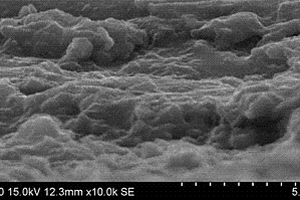 以MoO3棒状结构纳米线为固体润滑相的TiAl基自润滑复合材料及其制备方法
