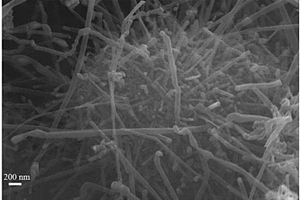 镍-碳纳米管复合材料及其制备方法
