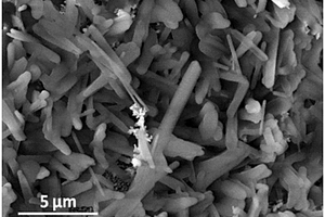 纳米多孔银负载多孔氧化银纳米棒复合材料及其制备方法