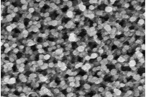 纳米铂镍双金属/二氧化钛纳米管阵列复合材料的制备方法