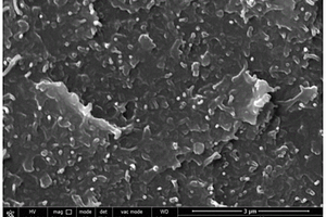 聚芳醚酮/碳纳米管复合材料及其制备方法和聚芳醚酮/碳纳米管复合材料薄膜