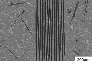 定向凝固连续-非连续碳纤维增强金属基复合材料的制备