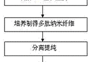 一维纳米复合材料的制备方法