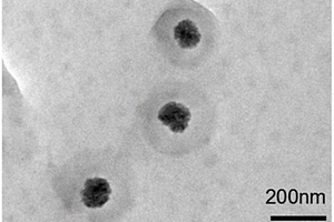 核壳球状磁性介孔二氧化硅纳米复合材料的快速制备方法和应用