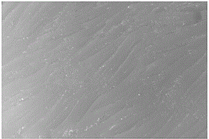 具有仿生微图案化水性聚氨酯/无机纳米复合材料涂层的制备方法