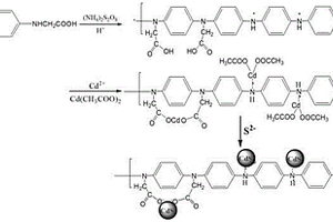 N-取代羧基聚苯胺/硫化镉量子点复合材料的制备方法