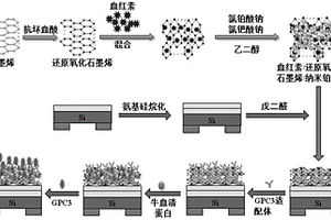 基于纳米复合材料的LAPS传感器检测GPC3方法