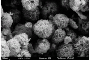 二硫化钴/碳空心纳米花复合材料的制备方法及所制备的复合材料