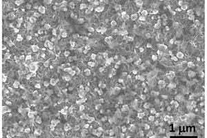 金属相MoS<sub>2</sub>-CoNi(OH)<sub>2</sub>纳米复合材料及其制备方法和应用