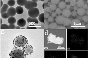 功能化Fe<sub>3</sub>O<sub>4</sub>/Au纳米复合材料的制备方法及其在真菌毒素检测的应用