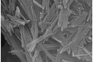 Cu-凹凸棒石-NH<sub>2</sub>复合材料的制备方法及其在吸附放射性水体中碘离子中的应用