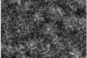 Nb3O7F纳米阵列/石墨烯异质结复合材料的制备方法
