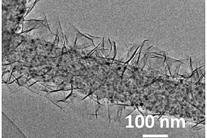 负载氢氧化镍纳米片和钴酸镍纳米晶的碳纳米纤维复合材料及其制备方法和应用