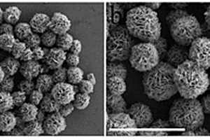 Fe<Sub>3</Sub>O<Sub>4</Sub>/Ni/N-RGO太阳能电池高效电极的复合材料及其制备方法