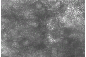 LDH@SiO2壳-核纳米复合材料的合成方法