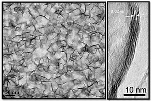 高氮掺杂石墨烯与超薄MoSe2纳米片的复合材料及其制备方法