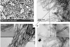 碳纳米管‑碳纳米棒‑PTFE微纳复合材料及其制备方法
