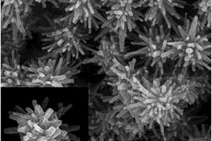 海胆状结构的硫化铋‑硫化亚铜异质结复合材料及其制备方法和应用