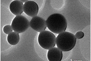 氧化石墨烯‑聚乳酸微气泡复合材料及其制备方法和应用
